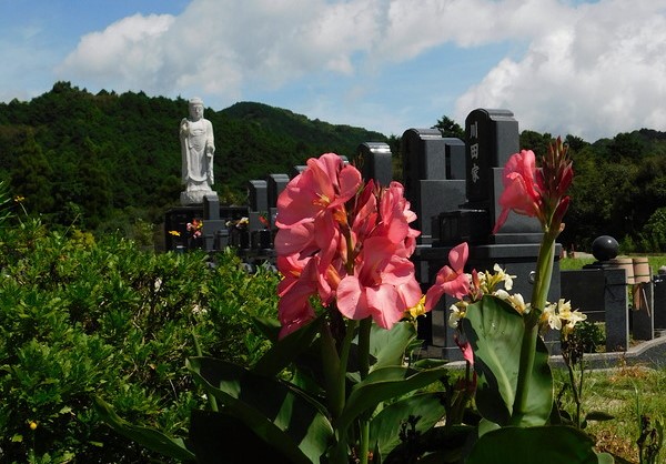 龍華霊園の夏の風景