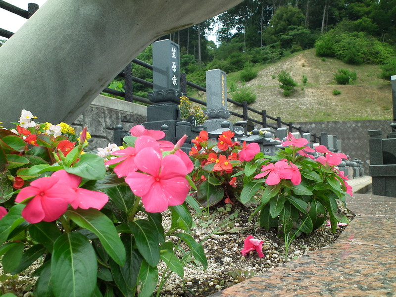 龍華霊園の夏の風景