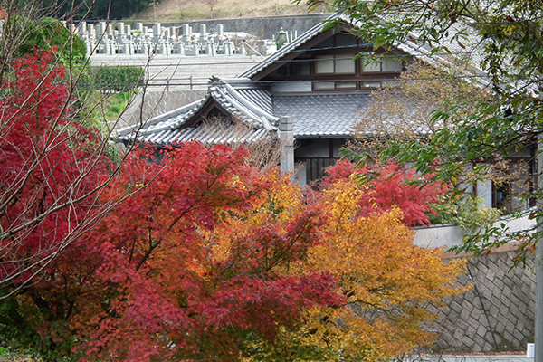 鳥栖風景写真_8